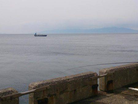 宝くじに当たりたいよ！