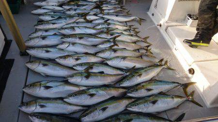 EBISU、爆釣り❗