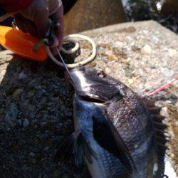 今年初の二桁！！