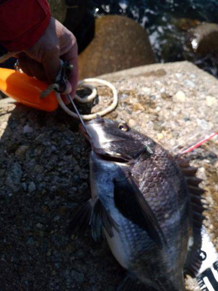 今年初の二桁！！