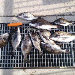 乗っ込み真っ最中！！