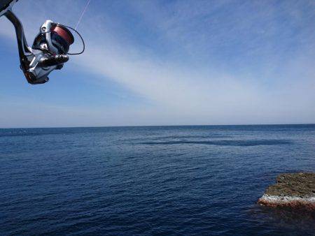 越前ショアジギングで根魚