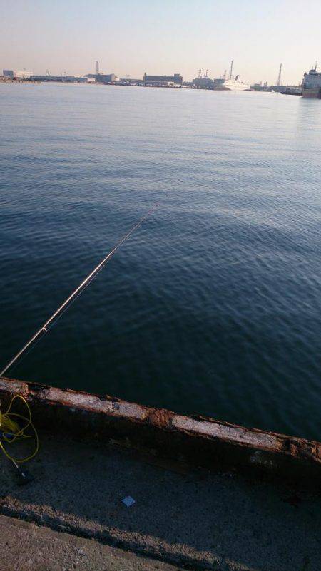 ♪ウキのダンシング♪