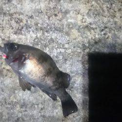 トラブルシューティング