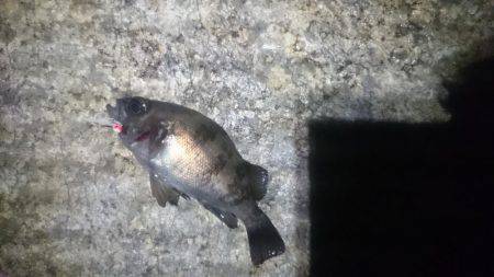 トラブルシューティング