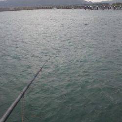 ファミリーフィッシング