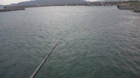 ファミリーフィッシング