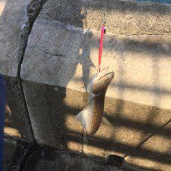 エソゲーム炸裂‼︎