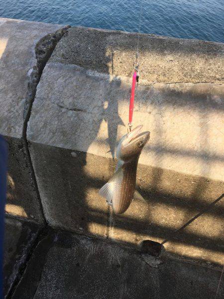 エソゲーム炸裂‼︎