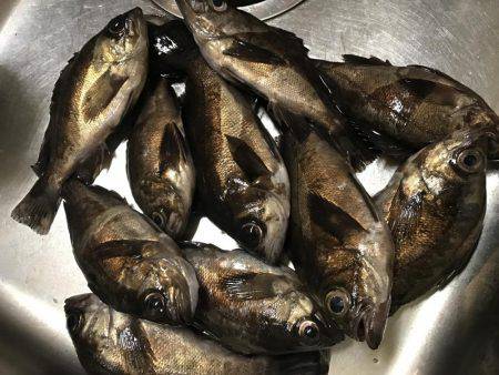 仕事終わりメバリング