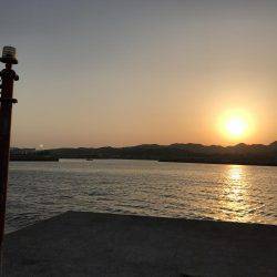 今日もやっぱりエソ祭り！わっしょい♪