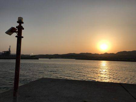 今日もやっぱりエソ祭り！わっしょい♪