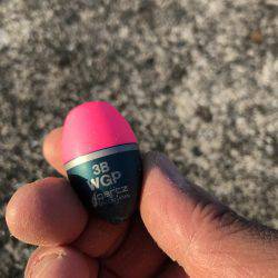 フカセチヌでボラのみ。。。