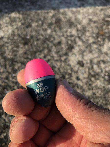 フカセチヌでボラのみ。。。