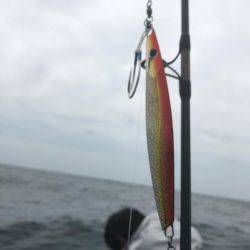 宮津市 船ジギング ブリ!