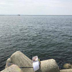 和田防波堤 チヌ！