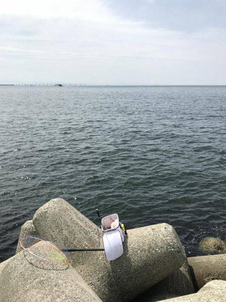 和田防波堤 チヌ！