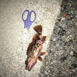 暖かくなりました