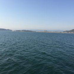 恐るべしビギナーズラック