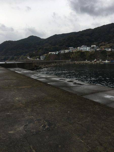 早朝ガシラ釣り