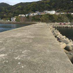 淡路島2日目穴釣り