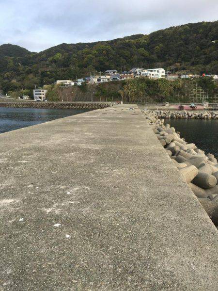 淡路島2日目穴釣り