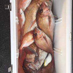 ディープタイラバ