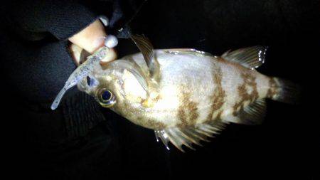 ﾒﾊﾞﾘﾝｸﾞ苦戦