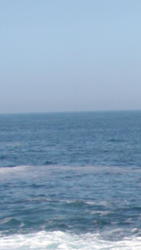 1ヶ月ぶりの磯釣り