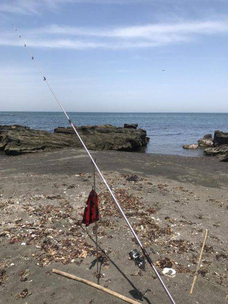 スピンパデビュー戦