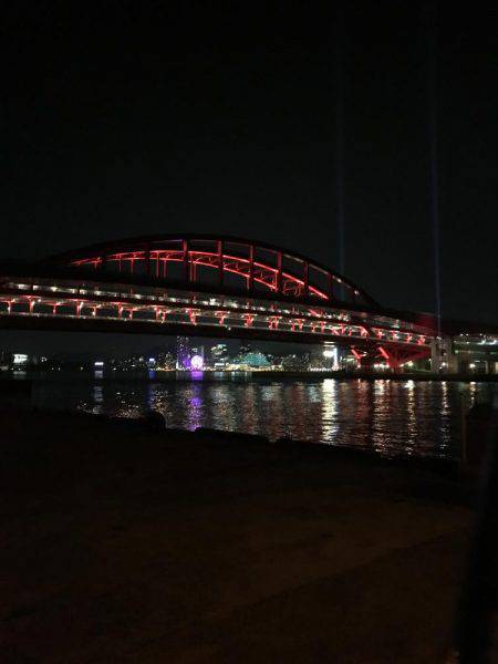 ポートアイランド北公園、マイクロベイトパターンでシーバス