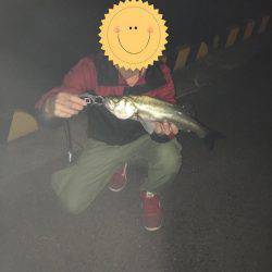 神戸湾奥バチパターン開幕