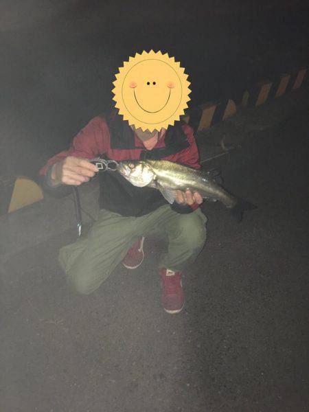 神戸湾奥バチパターン開幕