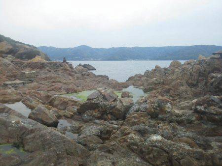 今回もグレ厳しかった・・