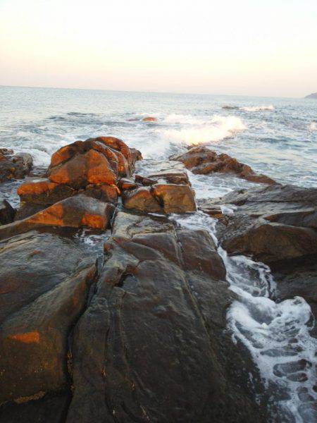 グレ少し釣れました・・・・