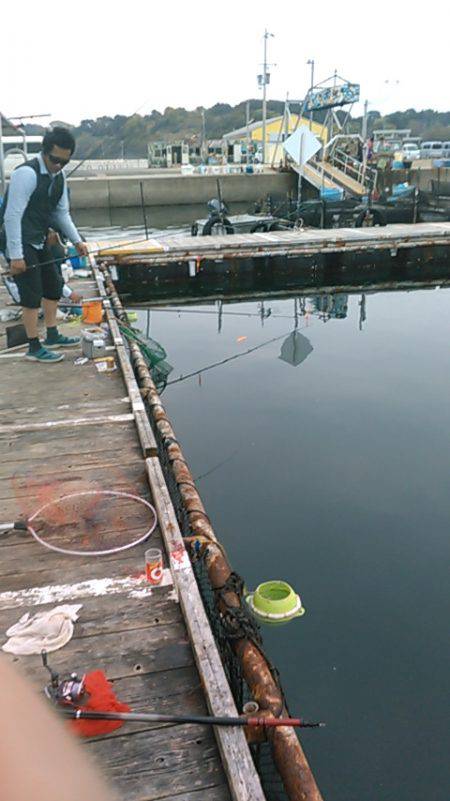 海上釣り堀岬でカンパチ、ヒラマサ狙い