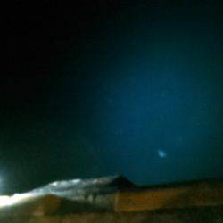 サビキ釣り～夜釣りに挑戦