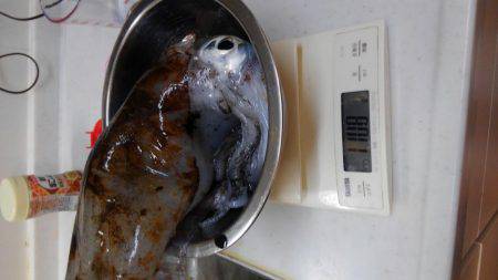 ショアジギボウズ