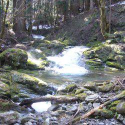 鳥取県河川釣行