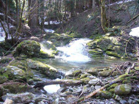 鳥取県河川釣行
