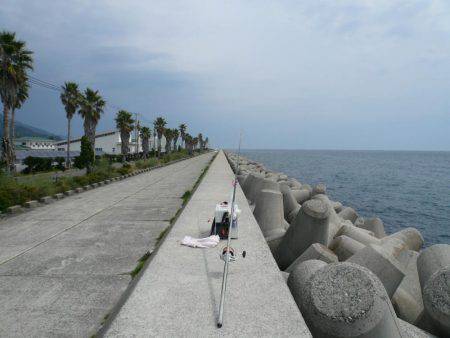 佐野でキスが釣れ始めました