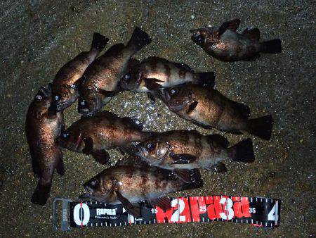 嵐の後の爆釣！