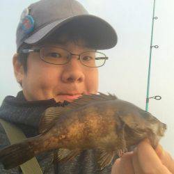 南風メバリング!