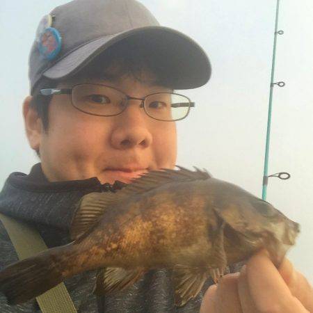 南風メバリング!