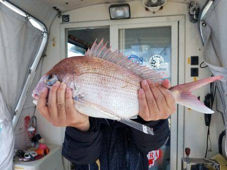 遊漁船　ニライカナイ 釣果