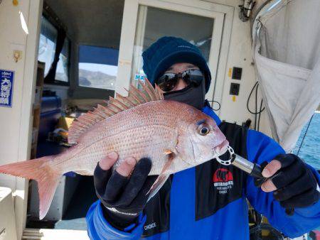 遊漁船　ニライカナイ 釣果