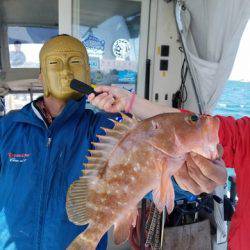 遊漁船 ニライカナイ 釣果