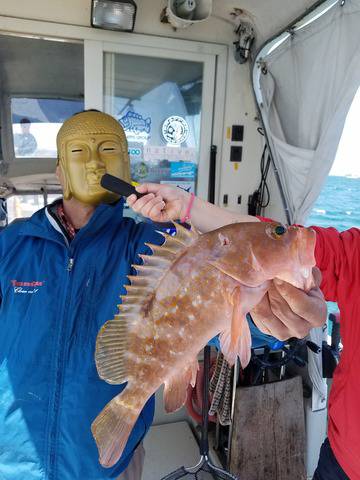 遊漁船 ニライカナイ 釣果