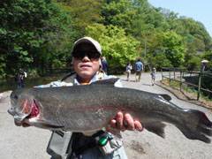 すそのフィッシングパーク 釣果