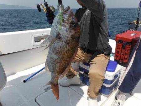 開進丸 釣果